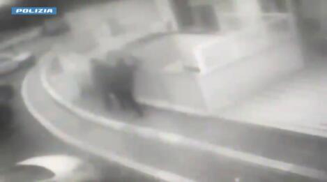 anziano aggredito lecce