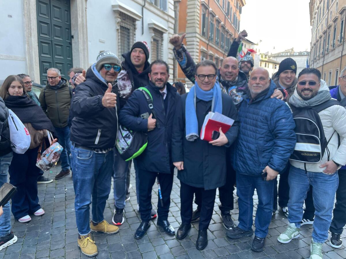 damiani associazioni bat