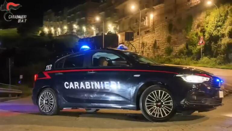 carabinieri bat