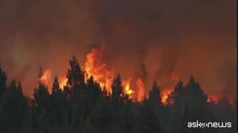 incendio patagonia