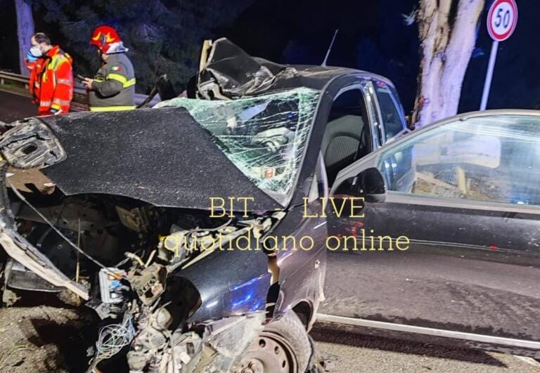 incidente mola