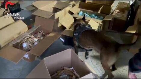 operazione last delivery