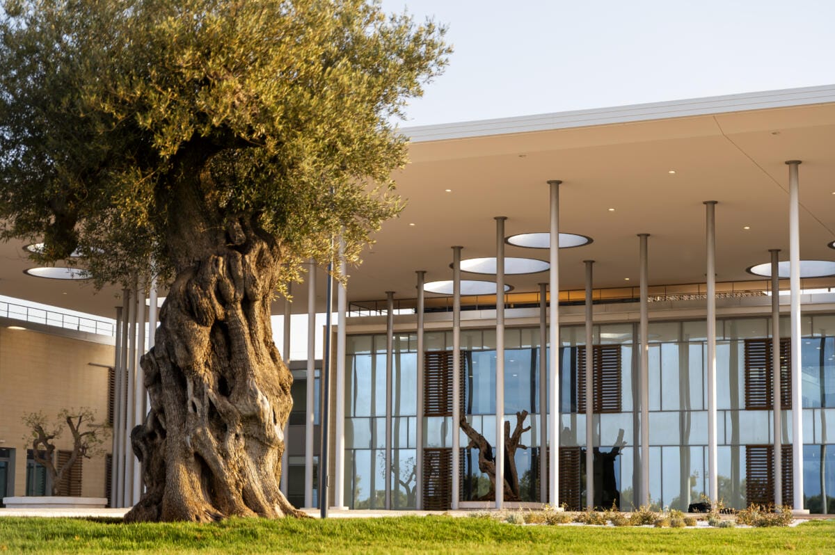 ospedale monopoli-fasano